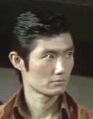 万重山叶顺子