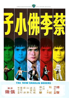         蔡李佛小子,介绍海报