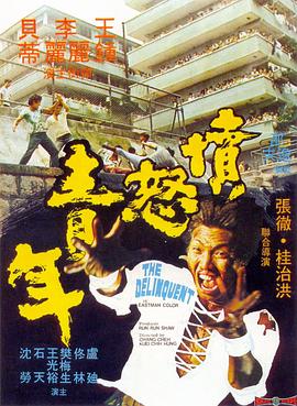         愤怒青年,介绍海报