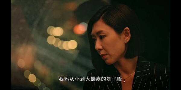 廉政狙击第19集剧照