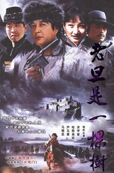 王哲剧照