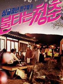 燃烧的青春