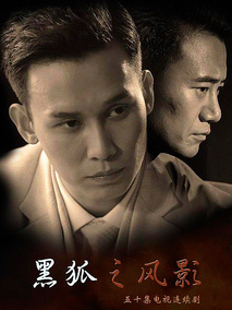 黑狐之风影