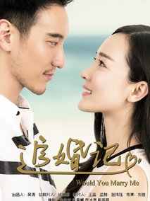 追婚记
