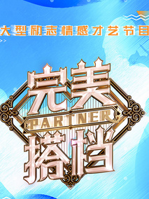 完美搭档