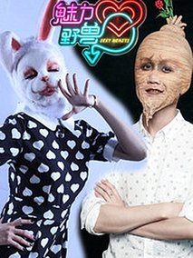 魅力野兽