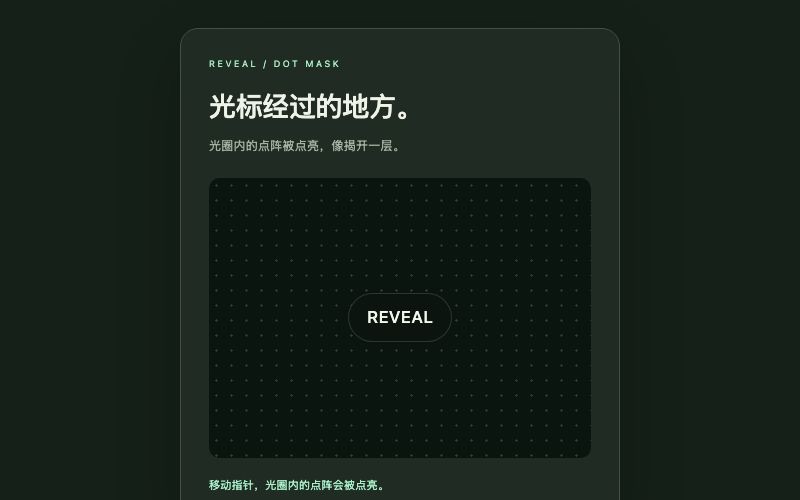 Reveal Dots / 点阵揭示组件预览
